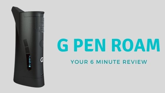 G Pen Roam: The 6 Minute Review